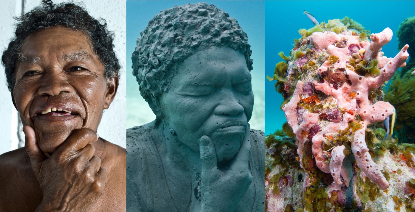 jason decaires taylor the silent evolution